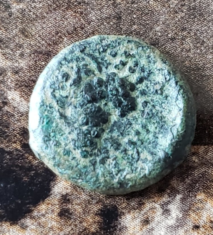 Two-Greek-Coins-For-ID